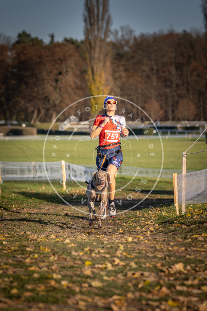 CaniXpix_DV3A2600 | Hundefotografie, Tierfotograf, Pfotenfotografie, Fotoshooting Hund, Hunde Portrait, Hundesport, Hundeportraits, Heideshooting, Hunde, Sportfotograf, Hundefotograf, Turnierhundsport, THS,  - Realisiert mit Pictrs.com