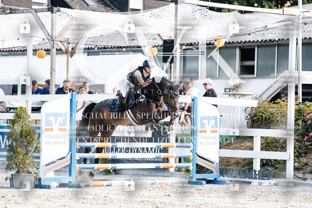 CK909405 | Turnierfotografie Pferdefotografie Trier Rheinland-Pfalz Pferdesport Reitsport Tierfotografie Sportfotografie Pferdevideo Pferdevideografie Equestrianvideography equestrianphotography  - Realisiert mit Pictrs.com