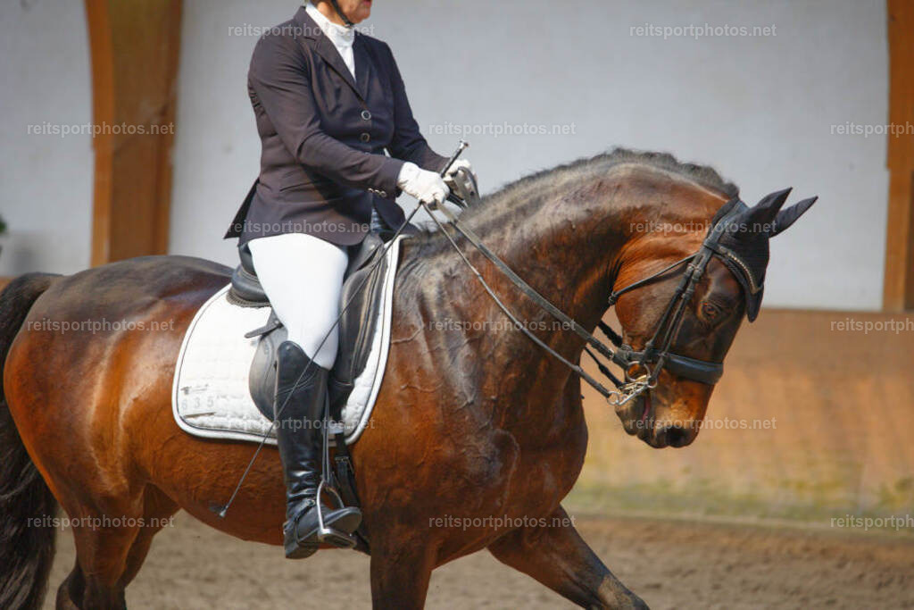 JHE_2193 | JoYa Fotografie - Realisiert mit Pictrs.com