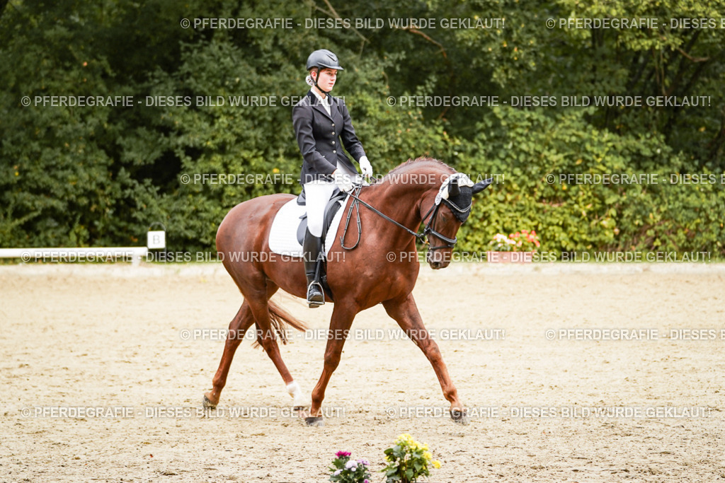 DSC00493 | Pferdegrafie