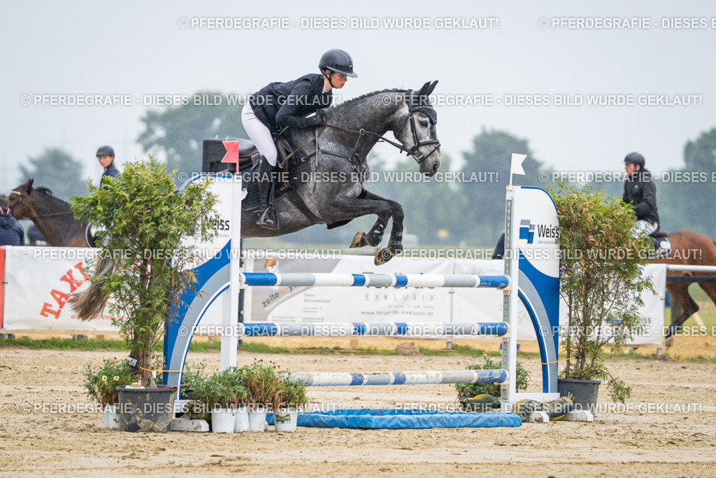 DSC01569 | Pferdegrafie