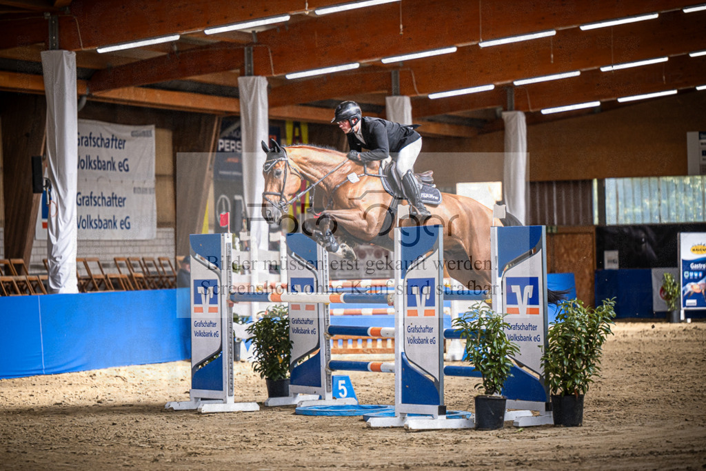 DOS_0612 | Entdecke hochwertige Reitturnierfotos von Foto Oger. Professionell, emotional und authentisch – jetzt Lieblingsmomente im Shop bestellen.Deutschlandweite Turnierfotografie. - Realisiert mit Pictrs.com