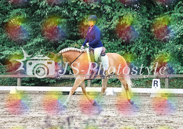 20250727_Dressurpferdeprfg_Kl.A-30 | JS-Photostyle - Sport-/Portrait- & Eventfotografie