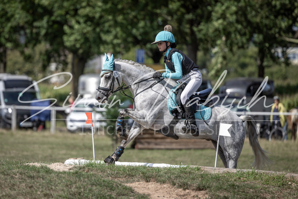 20250907-_3LI0118 | Tierfotografie Pferde, Hunde, Katzen, Haustiere.
Turnierfotografie Reitturniere, Reiten, Springreiten, Dressur in Hanau, dem Main-Kinzig-Kreis und dem Rhein-Main- Gebiet um Frankfurt