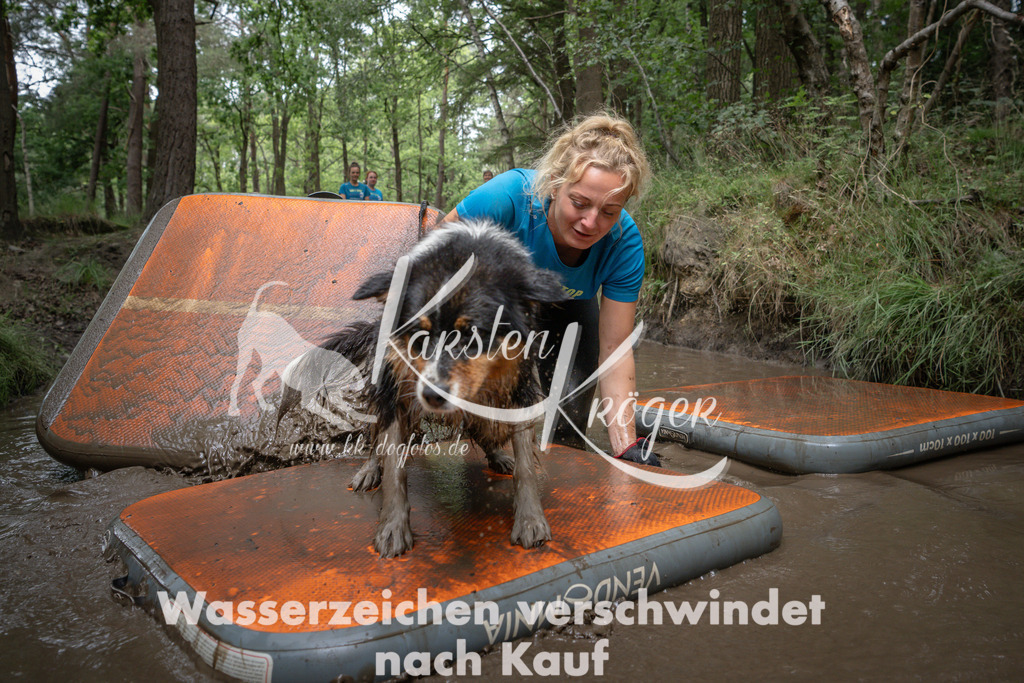 1253_ZZ91443 | kk-dogfotos