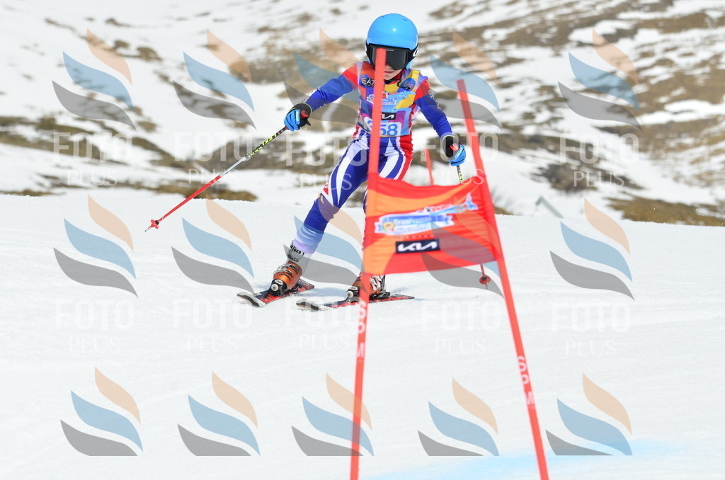 _ELE2803 | holidayphoto