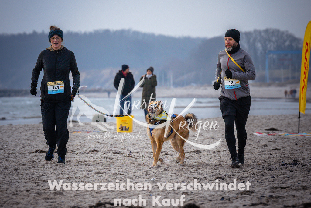 1043_ZZ96269 | kk-dogfotos