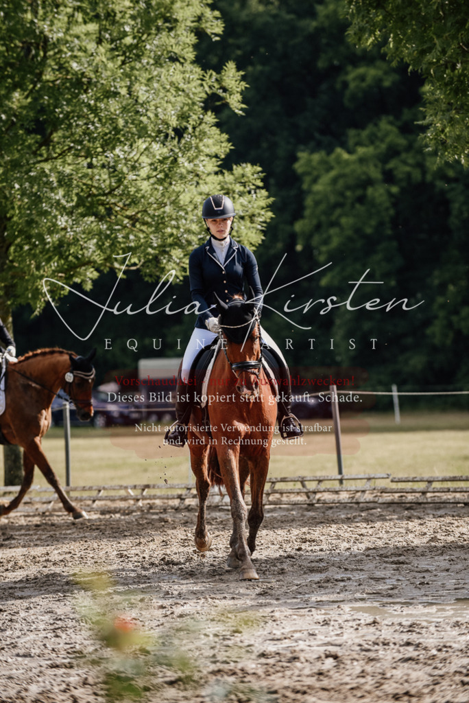 DSC_8902 | Pferde- und Turnierfotografie in Westsachsen. Pferdeportraits, Auftragszeichnungen und intuitive Kunst.