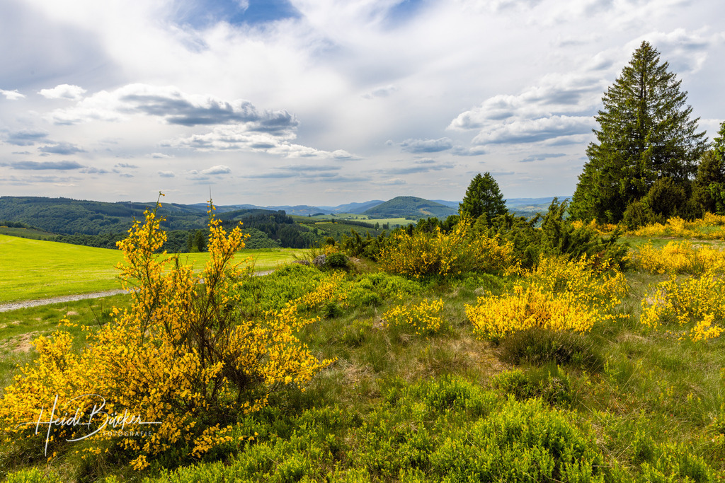 Westfeld und Umgebung 028 | Bilder und Impressionen zu jeder Jahreszeit aus dem Sauerland im Naturpark Sauerland-Rothaargebirge - Realisiert mit Pictrs.com