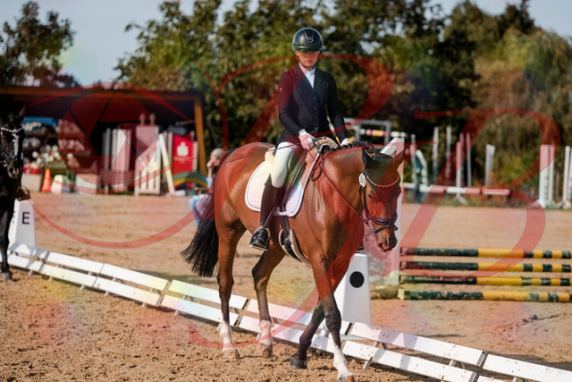 2026_10_03_Siefer-Hof_131543_Z63_77650021 | Professionelle Reitsport-, Turnier- und Eventfotografie von Robert Broda. Galerien mit ausgewählten und bearbeiteten Bildern direkt online ansehen und bestellen.