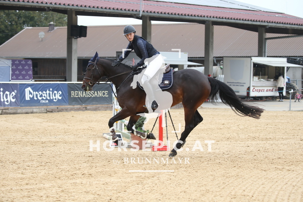 DL2Q4024 | Willkommen bei Brunnmayr - Design & Fotografie – Ihrem Spezialisten für Reitturniere und Pferdeveranstaltungen in Oberösterreich, Salzburg und Bayern! Seit über 17 Jahren sind wir leidenschaftlich dabei.