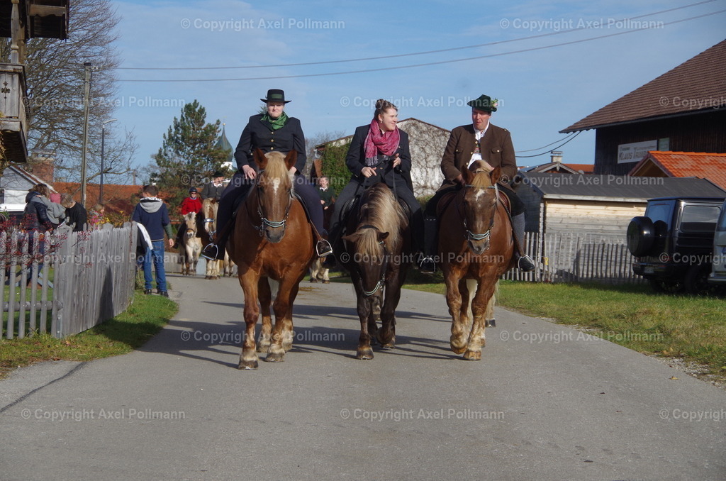 IMGP1570 | fotografiert von Axel PollmannLeonhardi Wallfahrt Benediktbeuern und Murnau, Fronleichnam, Fasching, Landschaft im Loisachtal und Benediktbeuern  - Realisiert mit Pictrs.com