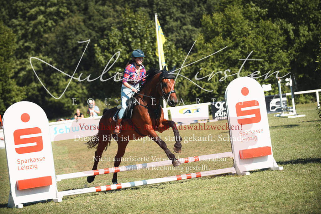 DSC_7739 | Pferde- und Turnierfotografie in Westsachsen. Pferdeportraits, Auftragszeichnungen und intuitive Kunst.