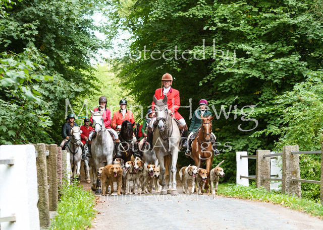 Jagd Knoop 26 Sony-542 | Fotografie, FotoArt, PferdesportArt, Pferdesportfotografie, Landschaftsfotografie, Reisefotografie, Reise, Pferde - Realisiert mit Pictrs.com