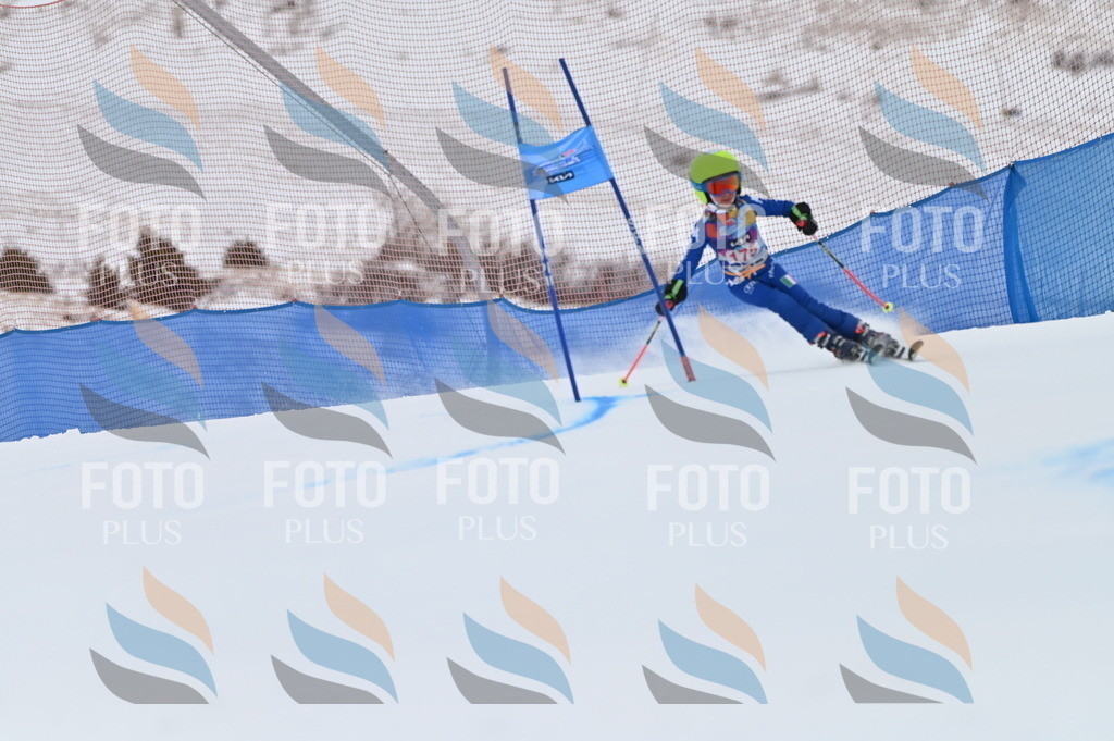 BGV_0827 | holidayphoto