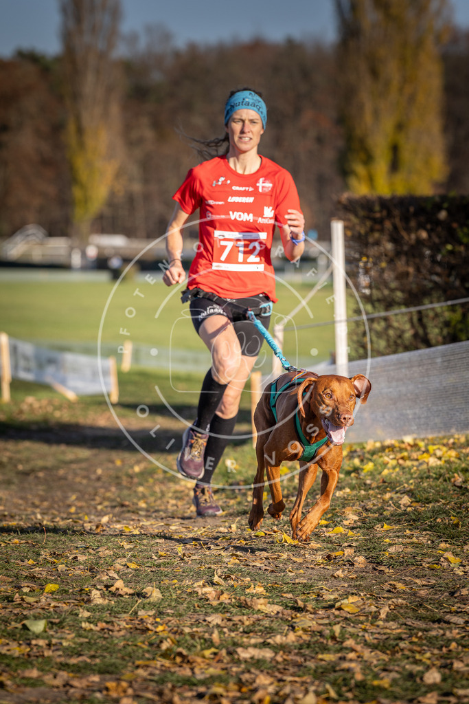 CaniXpix_DV3A1671 | Hundefotografie, Tierfotograf, Pfotenfotografie, Fotoshooting Hund, Hunde Portrait, Hundesport, Hundeportraits, Heideshooting, Hunde, Sportfotograf, Hundefotograf, Turnierhundsport, THS,  - Realisiert mit Pictrs.com