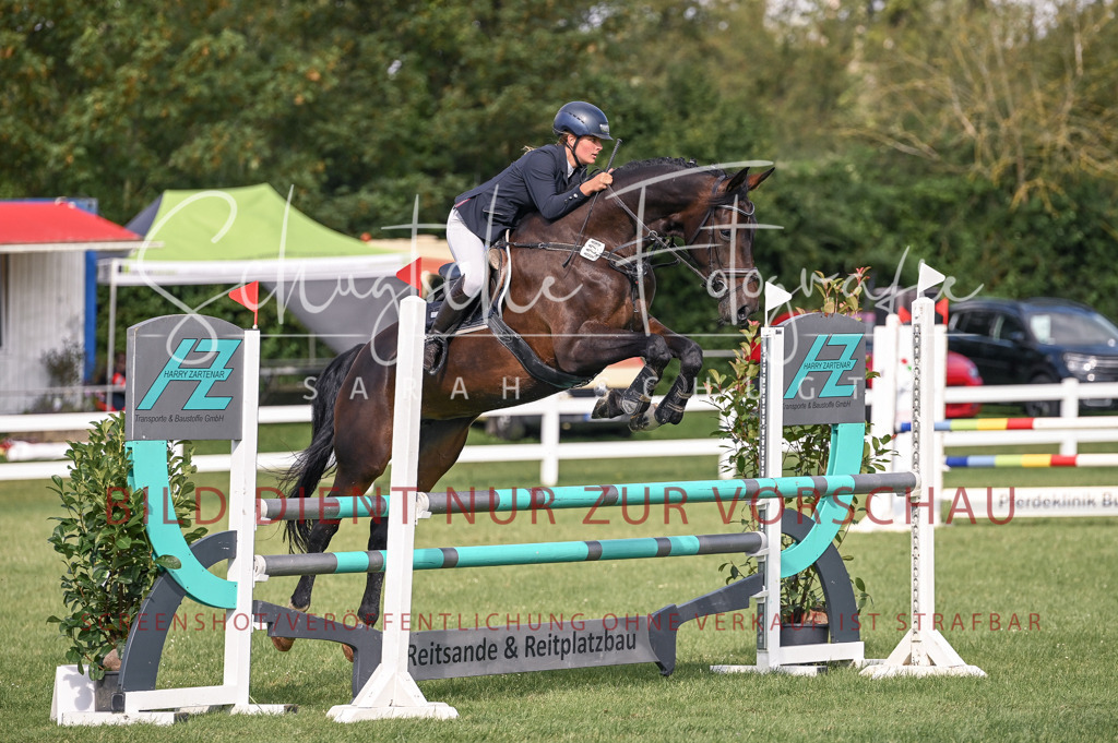 Schugtsche-Düren.2024-07.Amat.Springprf.A__-188 | Schugtsche Fotografie - Realisiert mit Pictrs.com