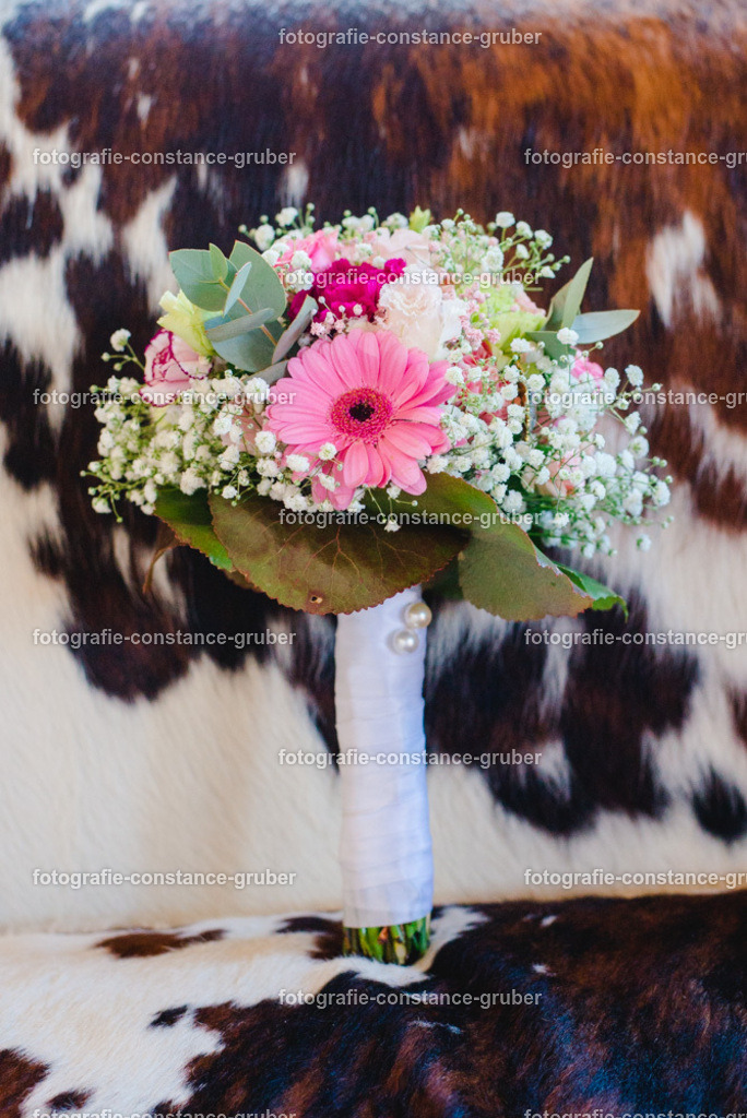 1020 | Fotografie Constance Gruber - Realisiert mit Pictrs.com