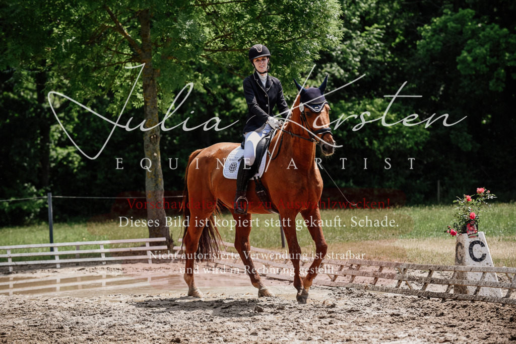 DSC_1549 | Pferde- und Turnierfotografie in Westsachsen. Pferdeportraits, Auftragszeichnungen und intuitive Kunst.