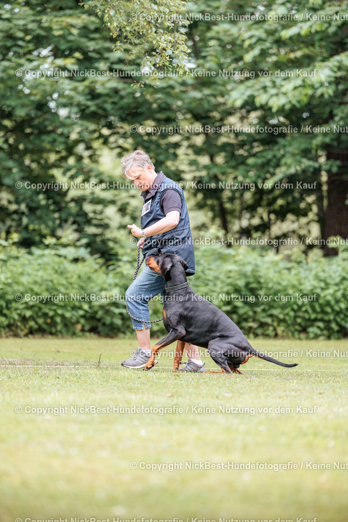 RO-Blumenthal-2026-Nickbest-Hundefotografie-5217 | Dein Hund! Dein Moment! Deine Erinnerungen! Hundefotografie in Bremen Blumenthal. Ich fange die besonderen Momente deines Vierbeiners ein – ob Indoor mit Blitzanlage oder in der freien Natur. Sicher dir dein Moment und dein Termin für eure Erinnerungen.