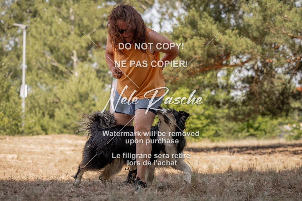 nelerasche_soDD2_474 | nelerasche