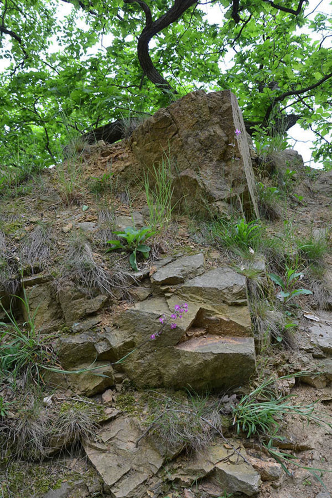 Grimma - Wanderweg: Weg der Steine | Entdecke über 20 Kategorien Leipzig-Motive: Foto-Downloads, hochwertige Poster, Leinwand- & Fine-Art-Prints. Jetzt Lieblingsfoto im Bildlexikon Leipzig Shop bestellen!
