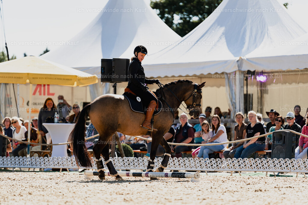 Katja7_FHC2025-08952 | working equitationturnier fotograf videograf stoibphotography marixx film working equitation deutschland reitsport turnierfotografie eventfotografie equestrian events