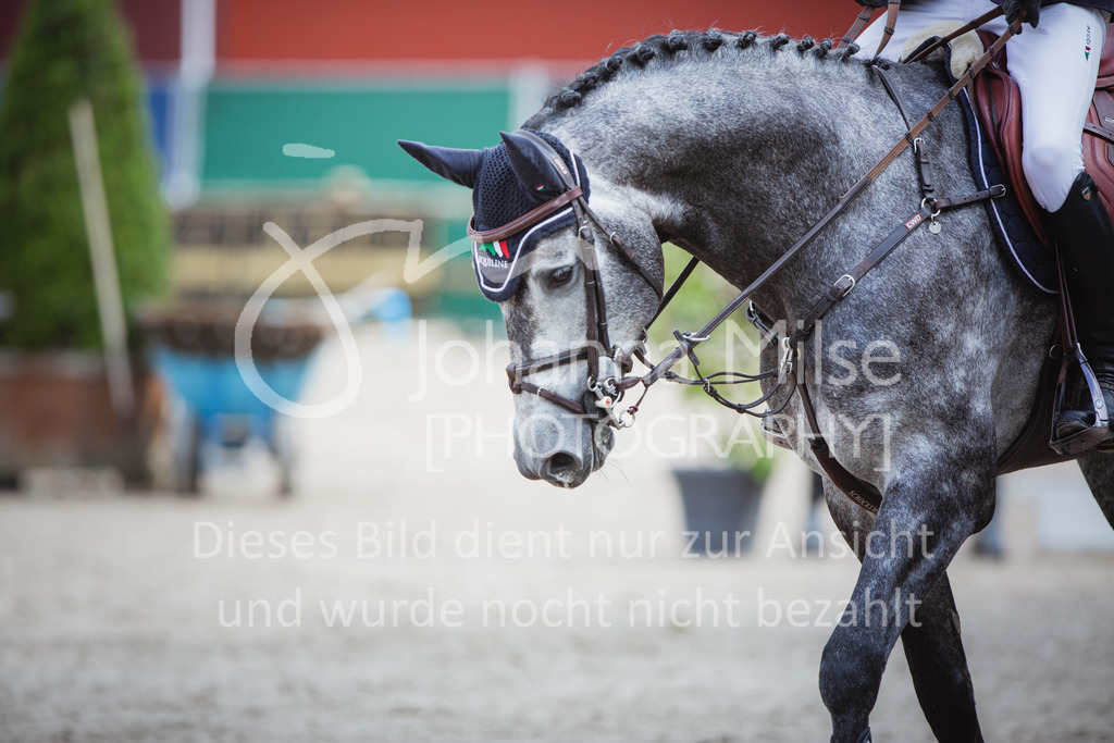 220705_Mühlen_SprPf-L2-545 | Late Entry Mühlen
05.07.2022
05 Springpferdeprüfung Kl.L
5-7jährige Pferde