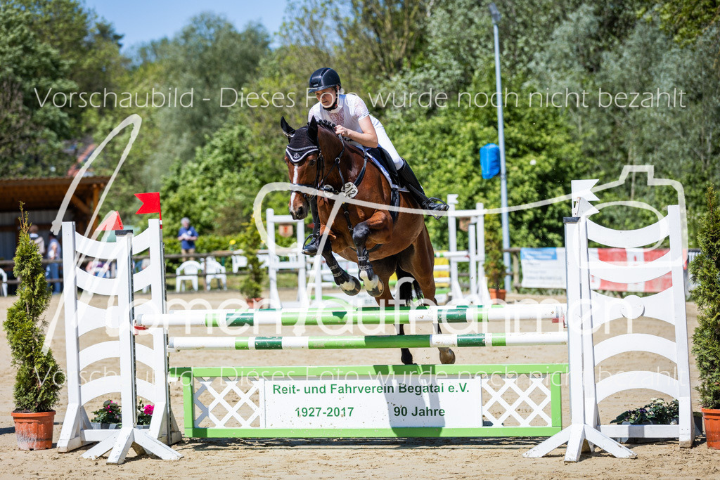 Donop24-Stil-L-008 | MomenTaufnahmen Pferdesportfotos