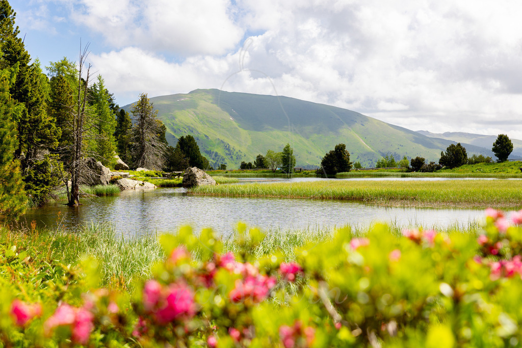 Windebensee | Der Windebensee an der Nockalmstraße. - Realisiert mit Pictrs.com