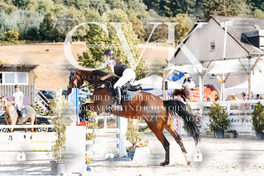 CK909141 | Turnierfotografie Pferdefotografie Trier Rheinland-Pfalz Pferdesport Reitsport Tierfotografie Sportfotografie Pferdevideo Pferdevideografie Equestrianvideography equestrianphotography  - Realisiert mit Pictrs.com