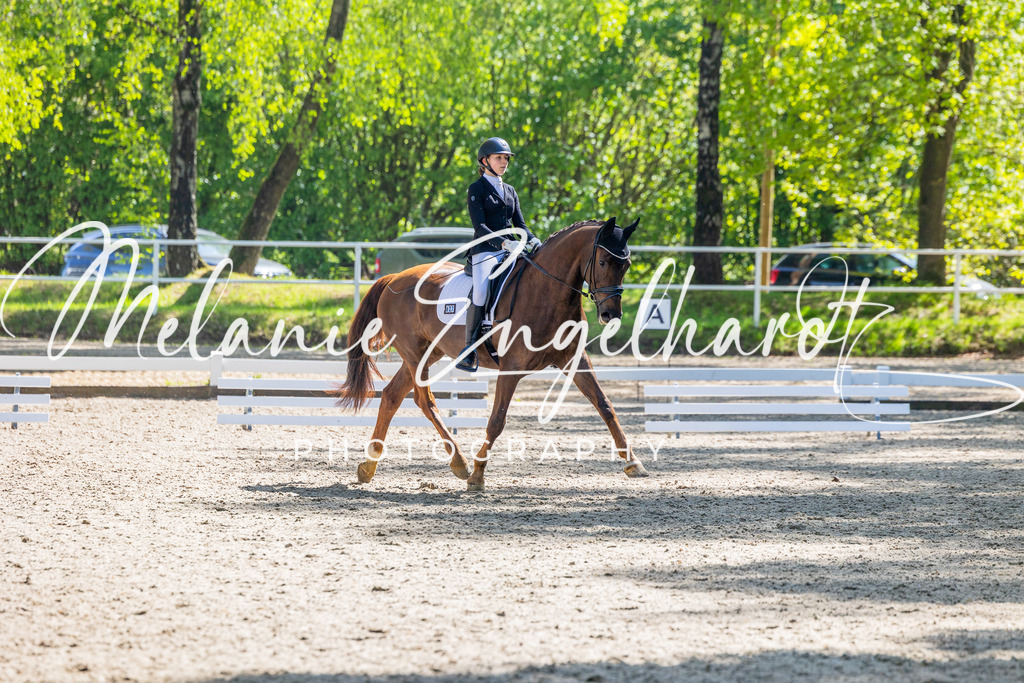 7I8A2631 | melanie-engelhardt-photography - Realisiert mit Pictrs.com