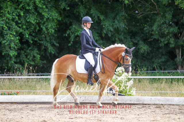 DKP45857 | Turniersportfotografie; Pferdefotografie; Dressurfotografie