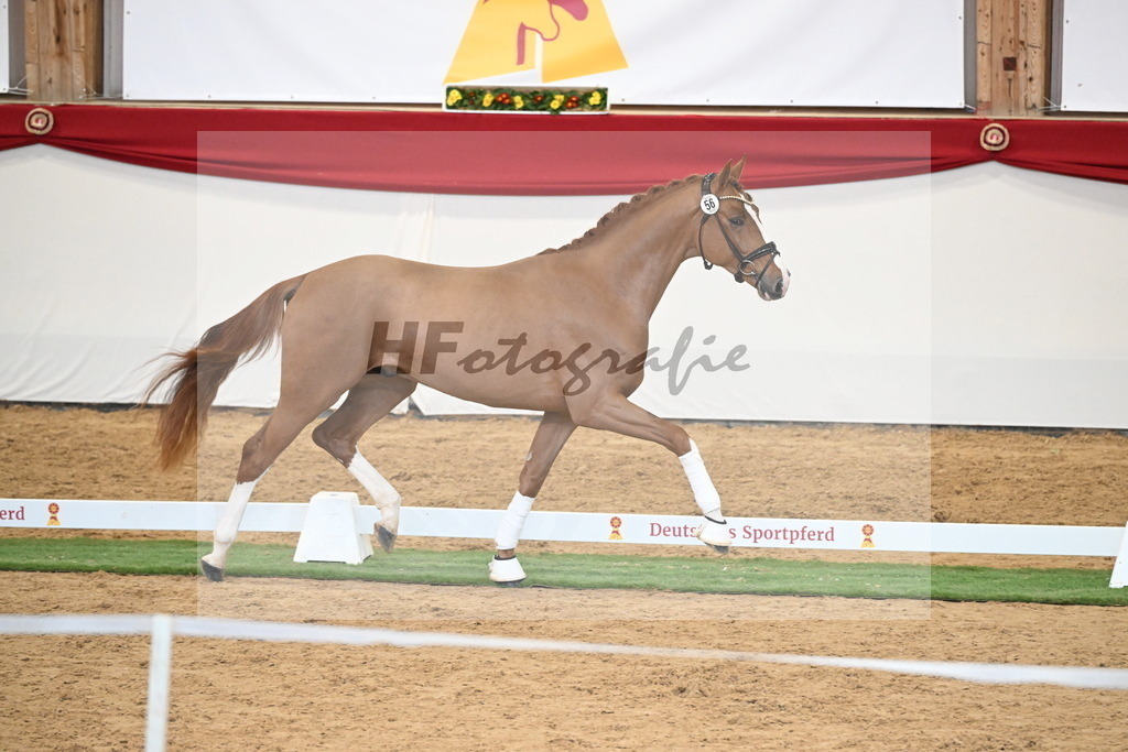 Kat.-Nr. 56 v. Fidelity_Sonnenschein_2250286 | hf-fotografie - Realisiert mit Pictrs.com