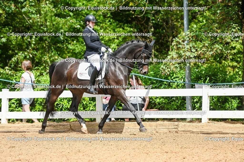 20230716_01_Dressurprüfung Kl.M_0113 | equistock