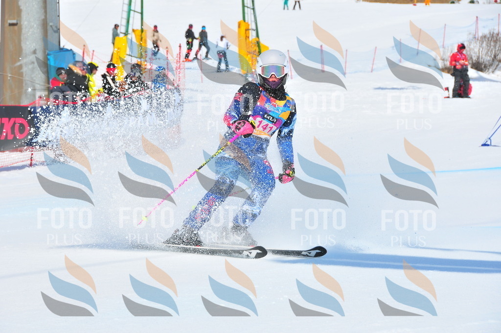 DSC_4987 | holidayphoto