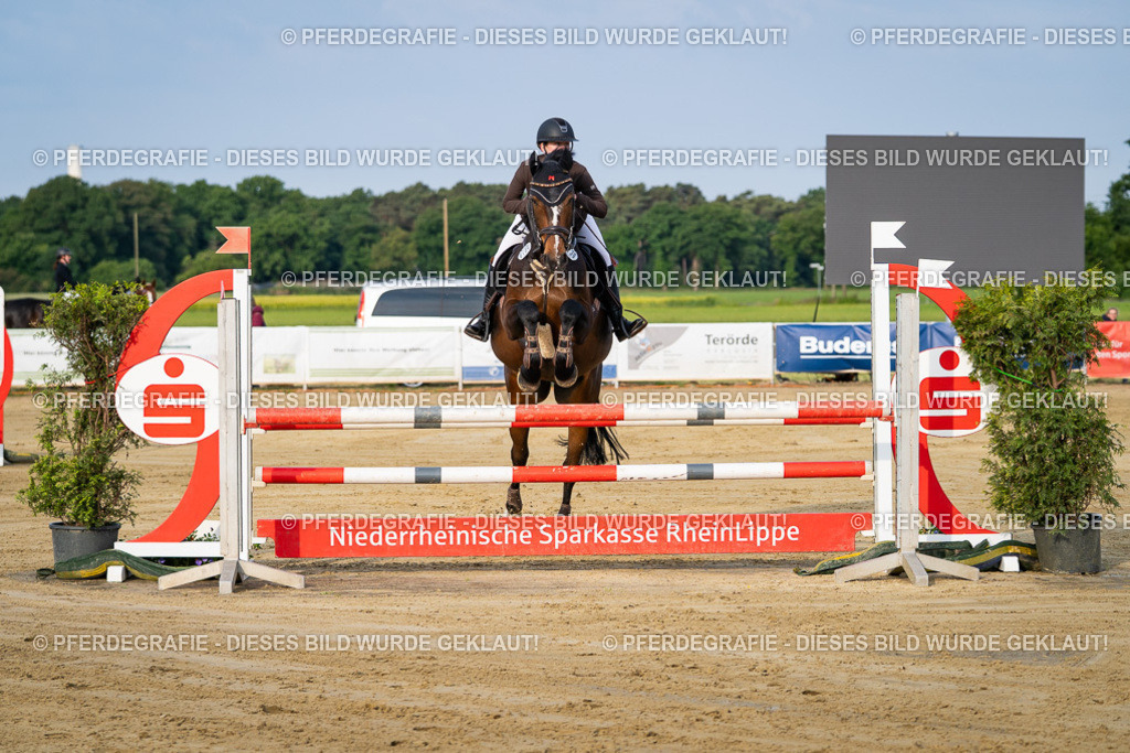 DSC02139 | Pferdegrafie