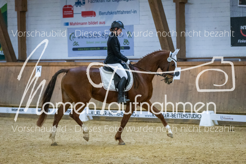 Sth-WBO25-DrR-058 | MomenTaufnahmen Pferdesportfotos