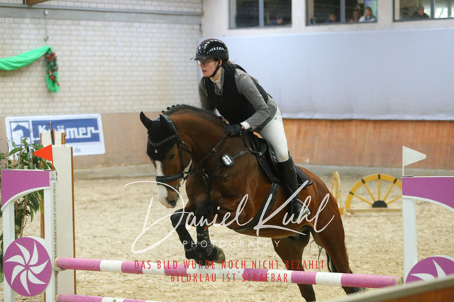 IMG_0583 | Turnierfotos kaufen im Webshop von Daniel Kuhl Photography – entdecke professionelle Reitsportfotos aus Turnieren & Events. Hochwertige Turnierbilder online bestellen & sichern. Jetzt Fotos von Reitsportturnieren kaufen!
