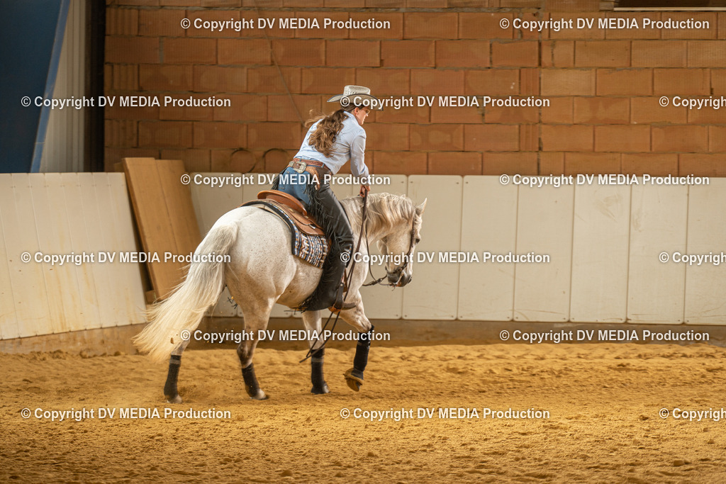 MIT01335 | dv-media-shop - Realisiert mit Pictrs.com