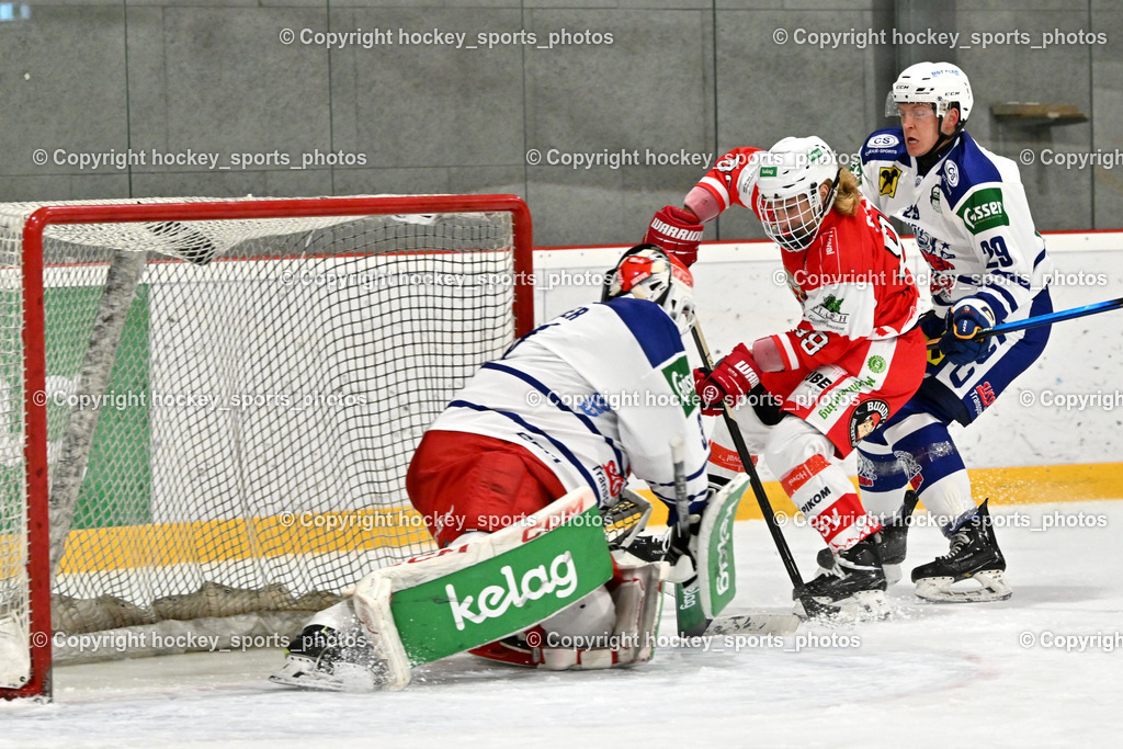 ESV Ferlach vs. UECR Eisbären Huben | #31 Sicher Michael UECR EISBÄREN HUBEN, #88 Steiner Thomas ESV Ferlach, #29 Bstieler Raphael UECR EISBÄREN HUBEN, ESV Ferlach vs. UECR Eisbären Huben, ESV Ferlach vs. UECR Eisbären Huben am 31.10.2025 in Ferlach (HTC Eishalle Ferlach), Austria, (Photo by Bernd Stefan)