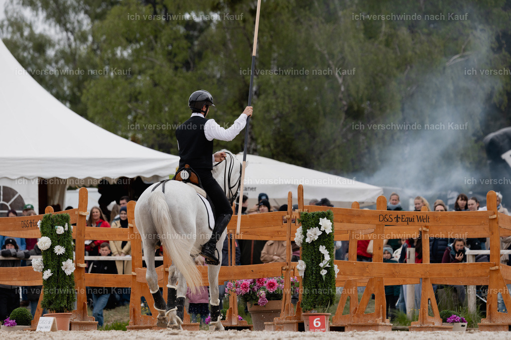 PI26_SP_StoibphotographyC2_C0538.jpg | working equitationturnier fotograf videograf stoibphotography marixx film working equitation deutschland reitsport turnierfotografie eventfotografie equestrian events