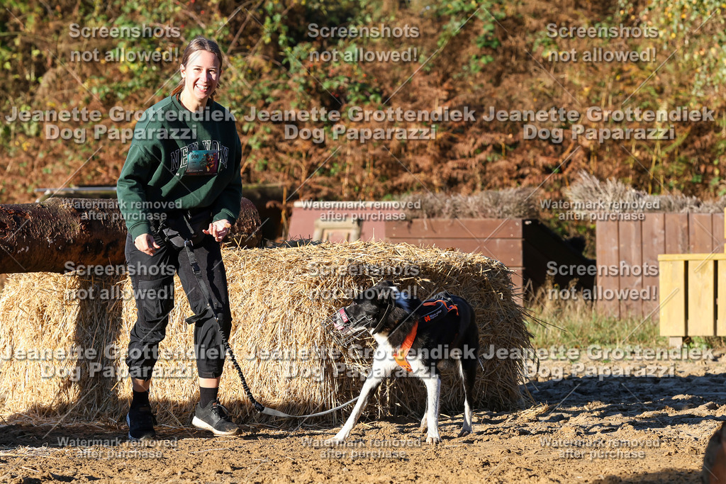 Dog Paparazzi - Strongdog 10-25-1136 | Dog Paparazzi Jeanette Grottendiek Fotografie & Videografie - Realisiert mit Pictrs.com