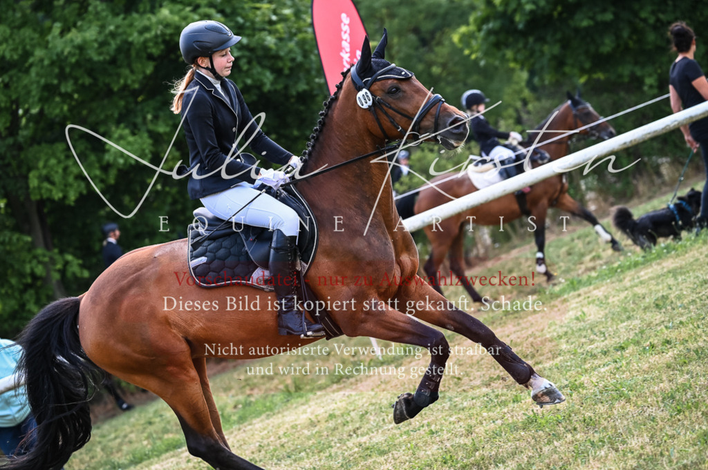 DSC_8473 | Pferde- und Turnierfotografie in Westsachsen. Pferdeportraits, Auftragszeichnungen und intuitive Kunst.