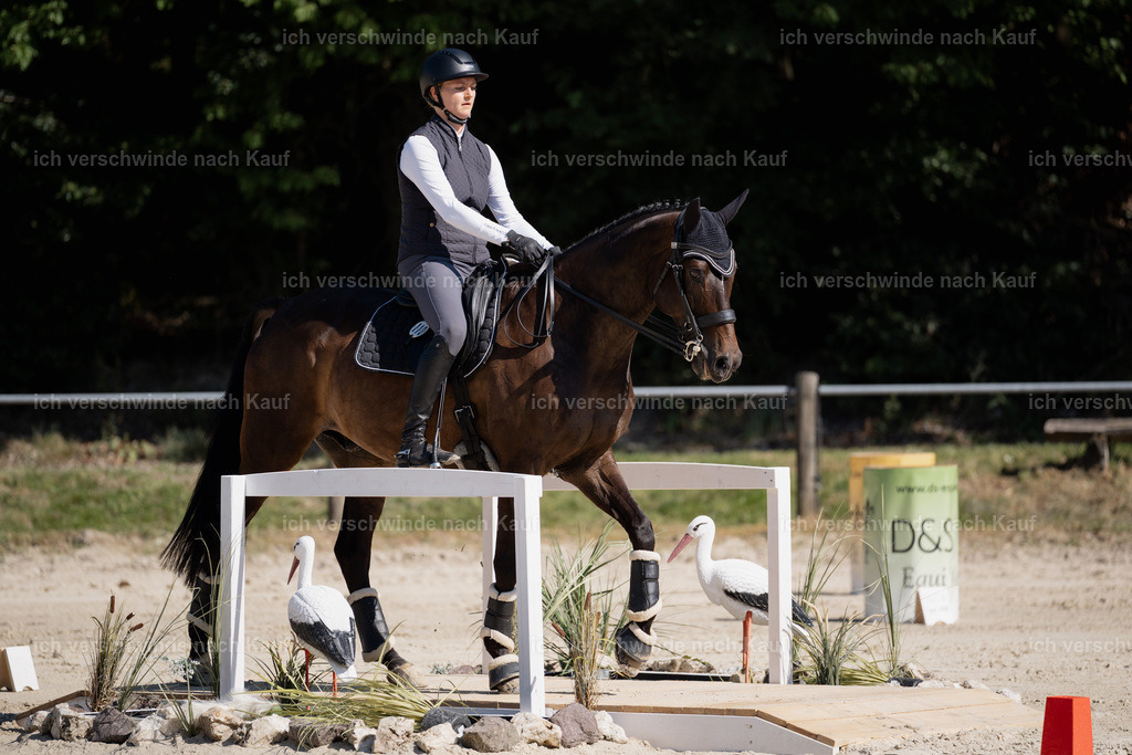 WM_ST_110_stoibphotography__SO11963 | working equitationturnier fotograf videograf stoibphotography marixx film working equitation deutschland reitsport turnierfotografie eventfotografie equestrian events