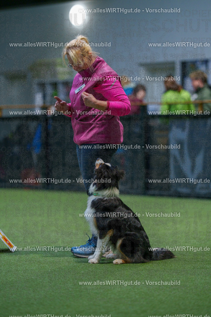 7R505952 | Professionelle Tierfotografie in Mönchengladbach von Daniel Wirth (allesWIRTHgut). Liebevolle & natürliche Bilder von Hunden & Katzen für unvergessliche Erinnerungen.