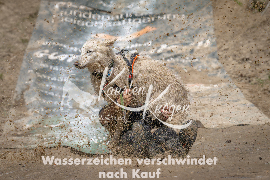 1457_ZZ91309 | kk-dogfotos