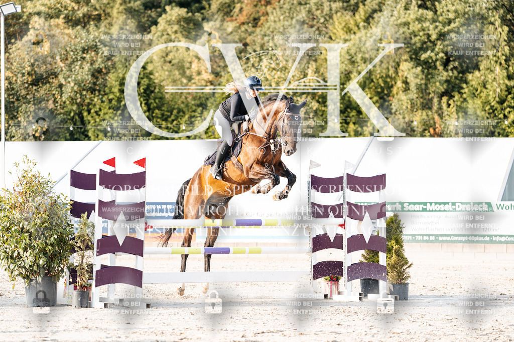 CK903517 | Turnierfotografie Pferdefotografie Trier Rheinland-Pfalz Pferdesport Reitsport Tierfotografie Sportfotografie Pferdevideo Pferdevideografie Equestrianvideography equestrianphotography  - Realisiert mit Pictrs.com