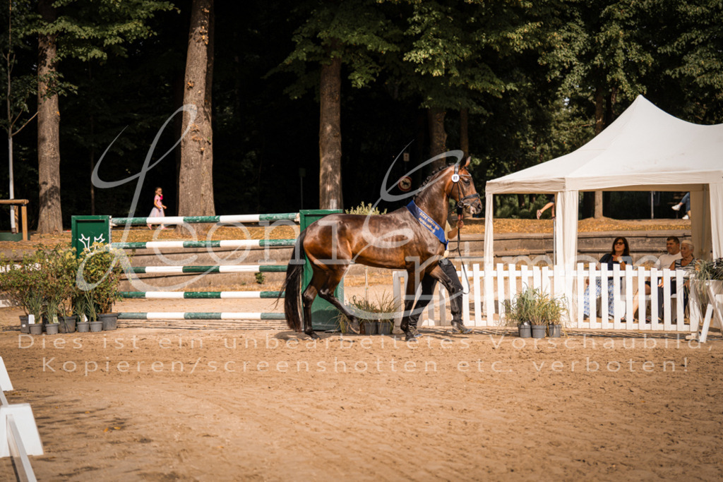 FrER00225 | Leoni Ertmer Photography - Realisiert mit Pictrs.com