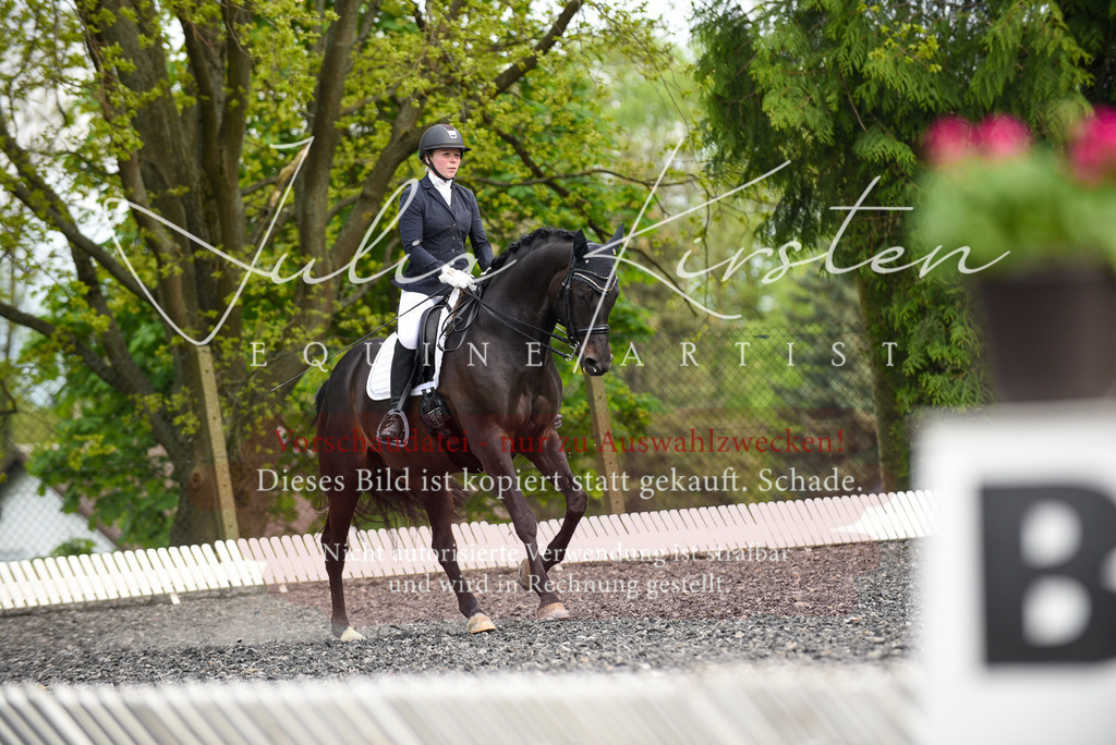 20230513_JK-Röhrsdorf-17-241 | Pferde- und Turnierfotografie in Westsachsen. Pferdeportraits, Auftragszeichnungen und intuitive Kunst.